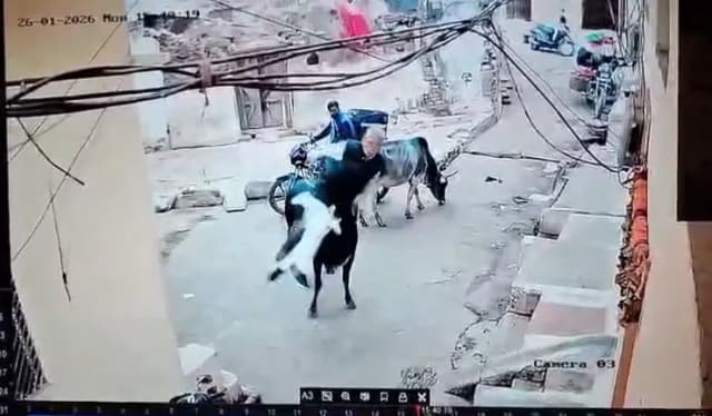 सड़क पर खड़े बुजुर्ग को उठाकर पटका, वीडियो वायरल