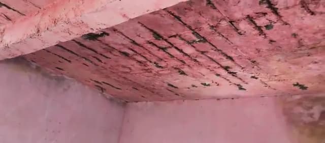 VIDEO वायरल, बुनियादी सुविधाओं की कमी से बच्चों की सुरक्षा पर खतरा