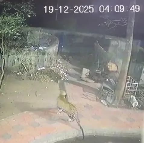 GCF प्रबंधन ने कर्मचारियों और नागरिकों को किया अलर्ट