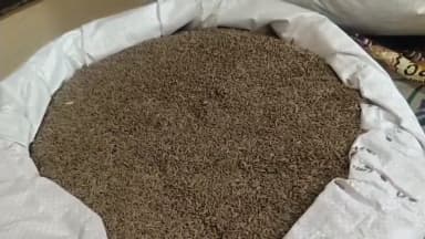 सौंप के बीजों में सीमेंट का लेप और केमिकल से बना; असली पैकेट में नकली जीरा बेच रहे थे