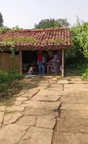 कोलही गांव में 60 बच्चे अस्थायी झोपड़ी में पढ़ने को मजबूर