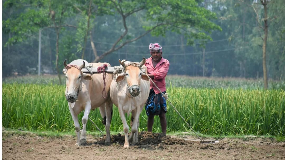 क्या अक्टूबर में खाते में 2,000 रुपए आएंगे; जानें लेटेस्ट अपडेट और स्टेटस चेक करने का तरीका