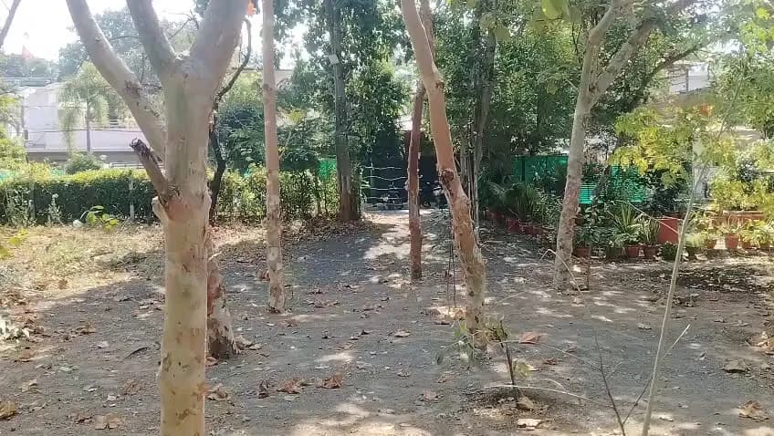 भोपाल के पॉश चार इमली इलाके में फिर चोरों ने लगाई सेंध