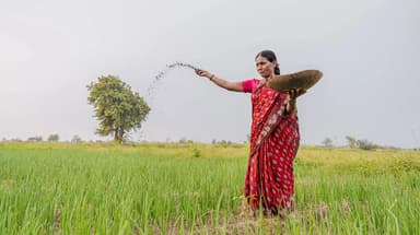 30 अक्टूबर को आएगी पीएम किसान की 24वीं किस्त; खाते में नहीं आए 2000 रुपए तो तुरंत करें यह काम