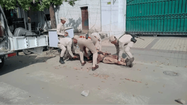 2 की मौत; गुस्साई भीड़ ने CM के बंगले के सामने शव रखकर प्रदर्शन किया