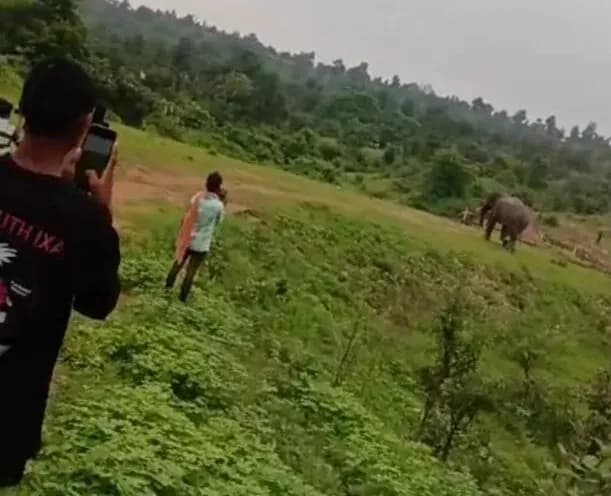 गांव के करीब आते ही मचा हड़कंप, ग्रामीणों ने पत्थर फेंककर की भगाने की कोशिश