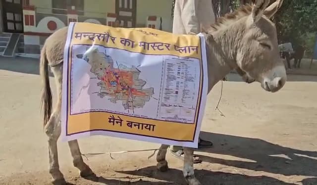 गधों पर मास्टर प्लान के पोस्टर लगाकर रैली निकाली; ढोल बजाते हुए शहर में घूमे