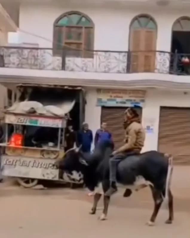 ग्वालियर में हाई-वोल्टेज ड्रामा, वायरल हुआ VIDEO