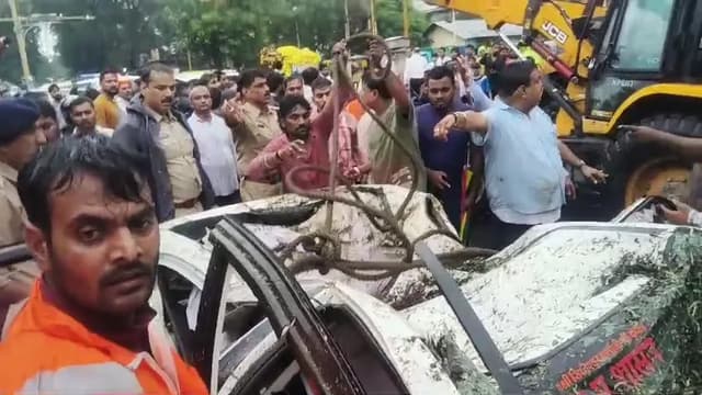 चलती कार पर गिरा विशालकाय इमली का पुराना पेड़, डिप्टी डायरेक्टर की मां की मौत