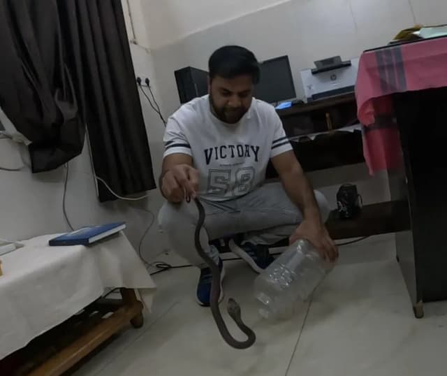 डॉक्टर के कंप्यूटर टेबल के नीचे निकला कोबरा, RCRS टीम ने सुरक्षित किया रेस्क्यू