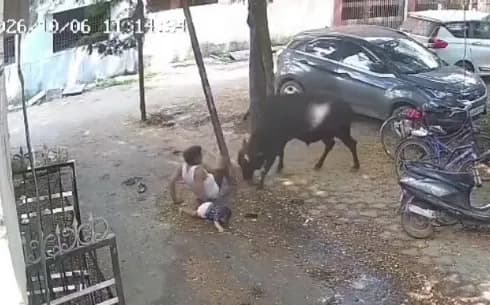पिता ने जान पर खेलकर बचाई मासूम की जान, दिल दहला देने वाला CCTV वीडियो हुआ वायरल